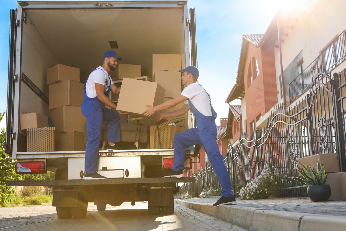 A picture of movers. 