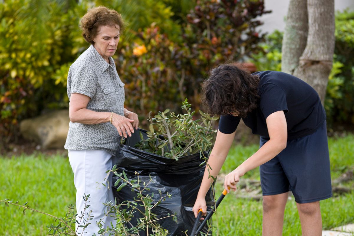 A picture of someone helping to clean their yard. 