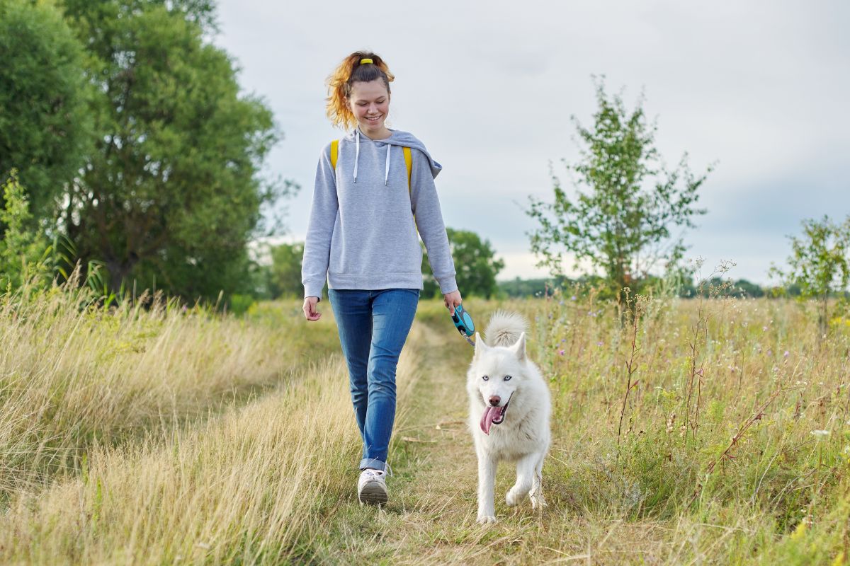 A picture of someone walking their dog. 