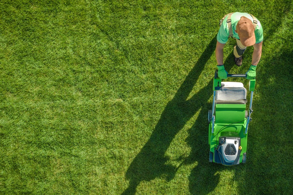 A picture of someone mowing a lawn.