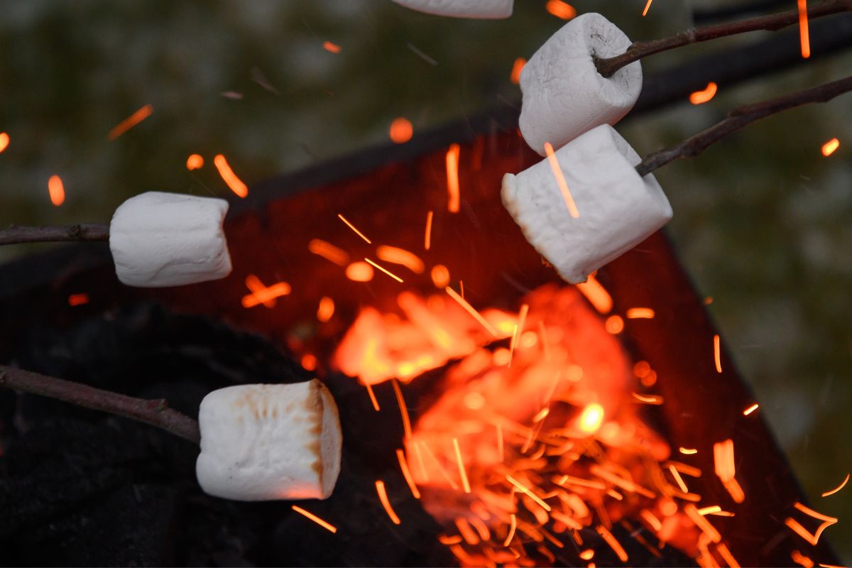 A picture of people making s'mores.