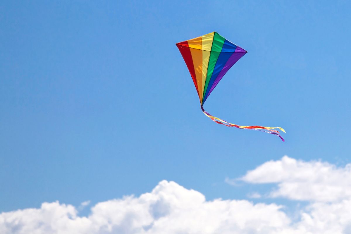 A picture of a kite. 