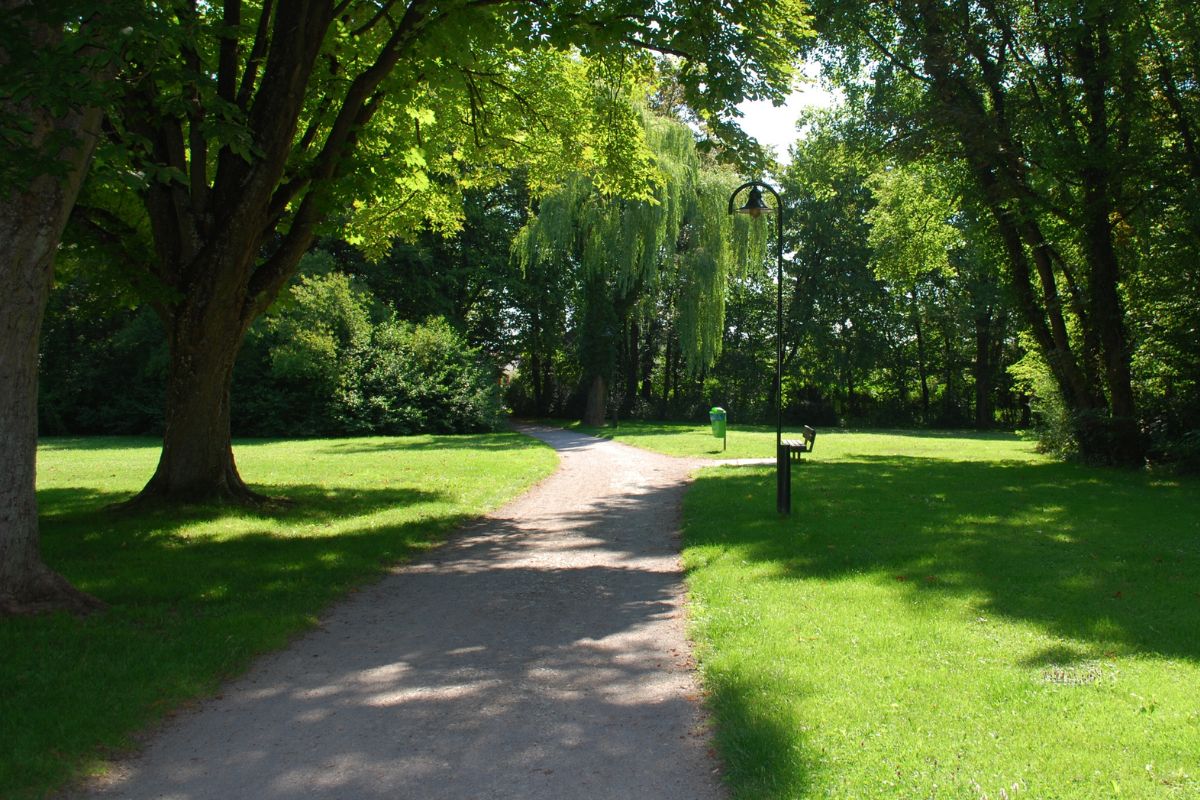 A picture of a park. 