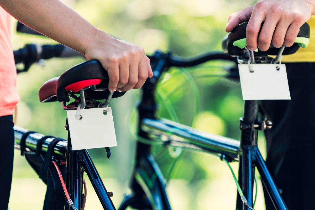 A picture of bikes for rent. 