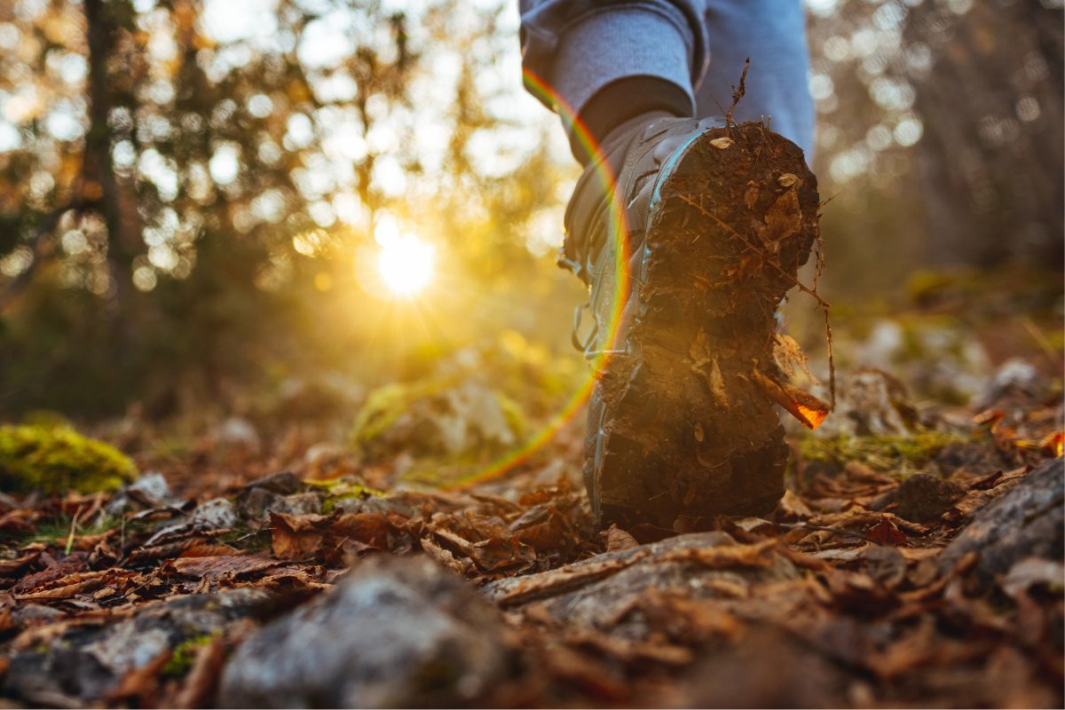 Image of walking for a nature trip.