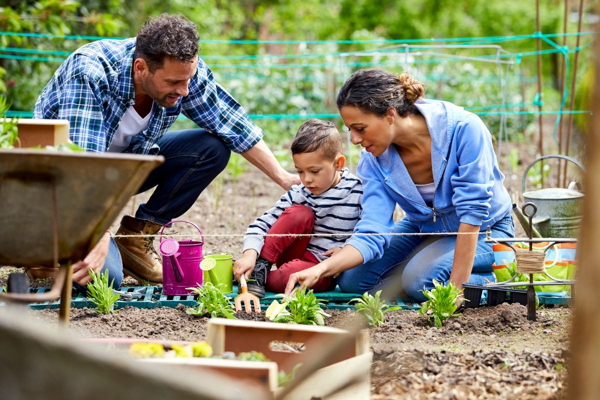 Picture of a family gardening.