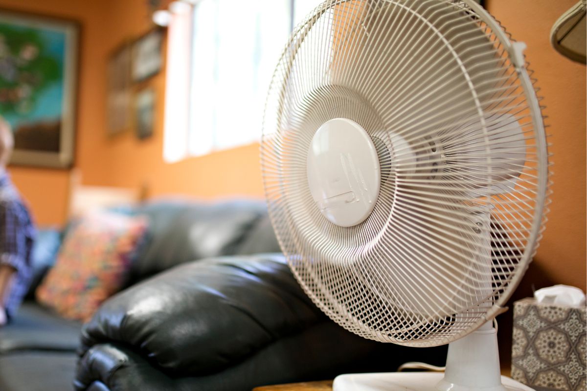 A picture of an electric fan. 