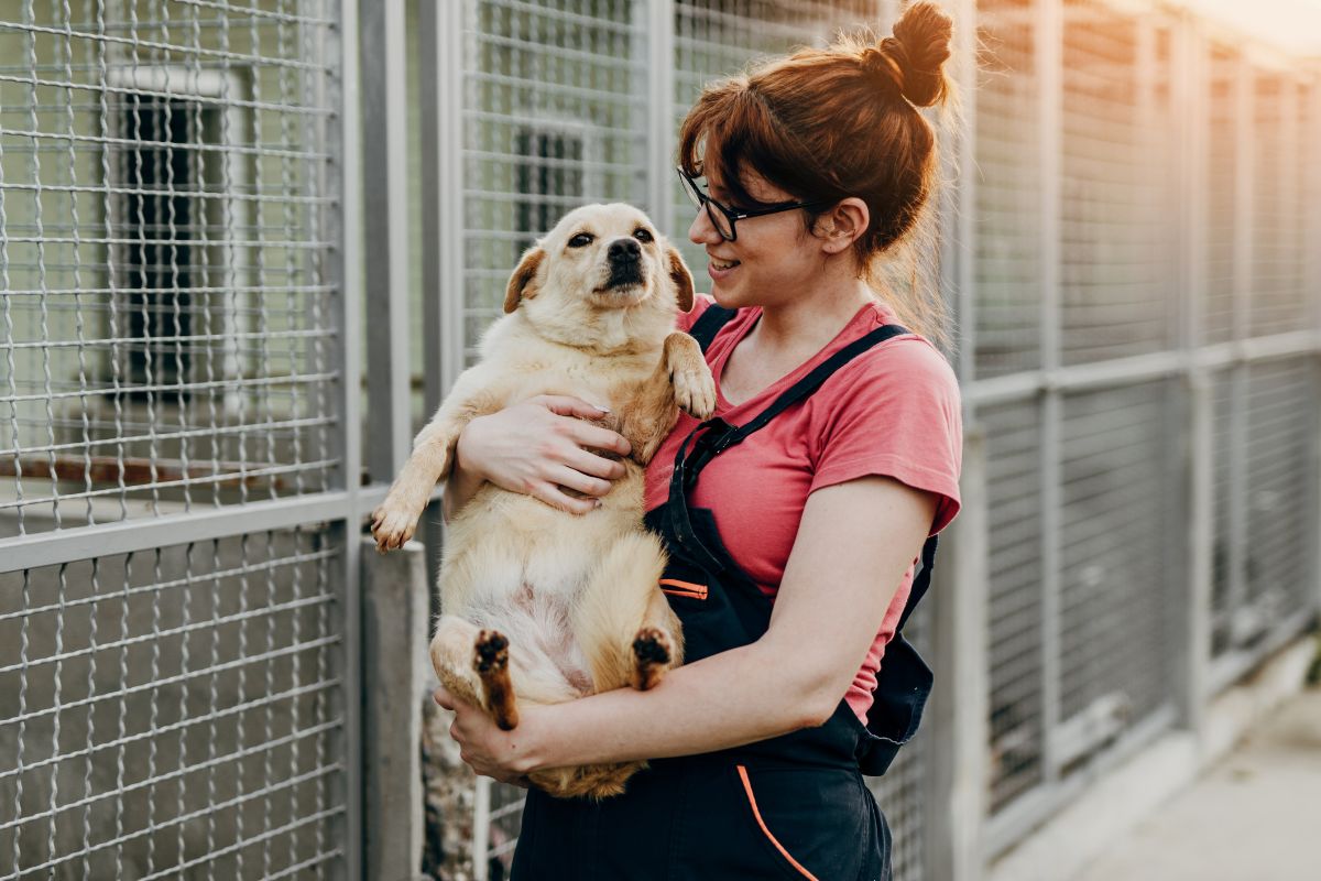 A picture of a volunteer with a dog. 