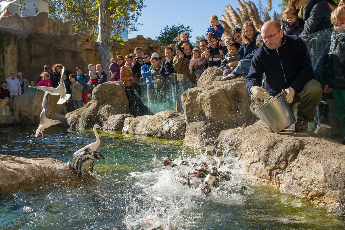 A picture of people in a zoo. 