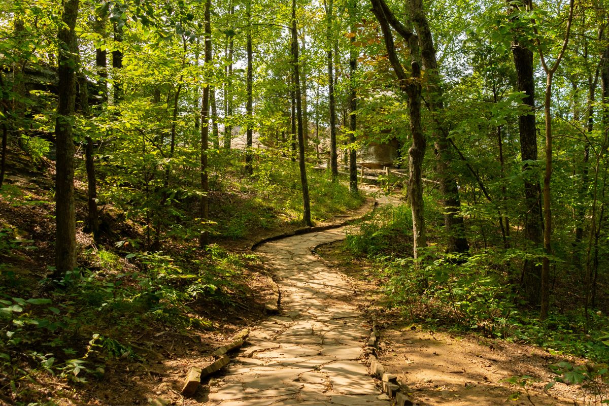 A picture of a hiking trail. 