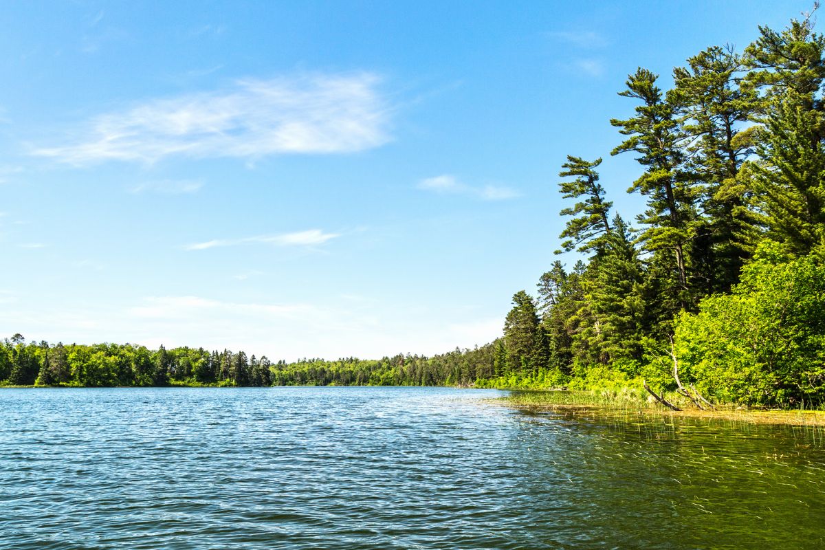 A picture of a lake. 
