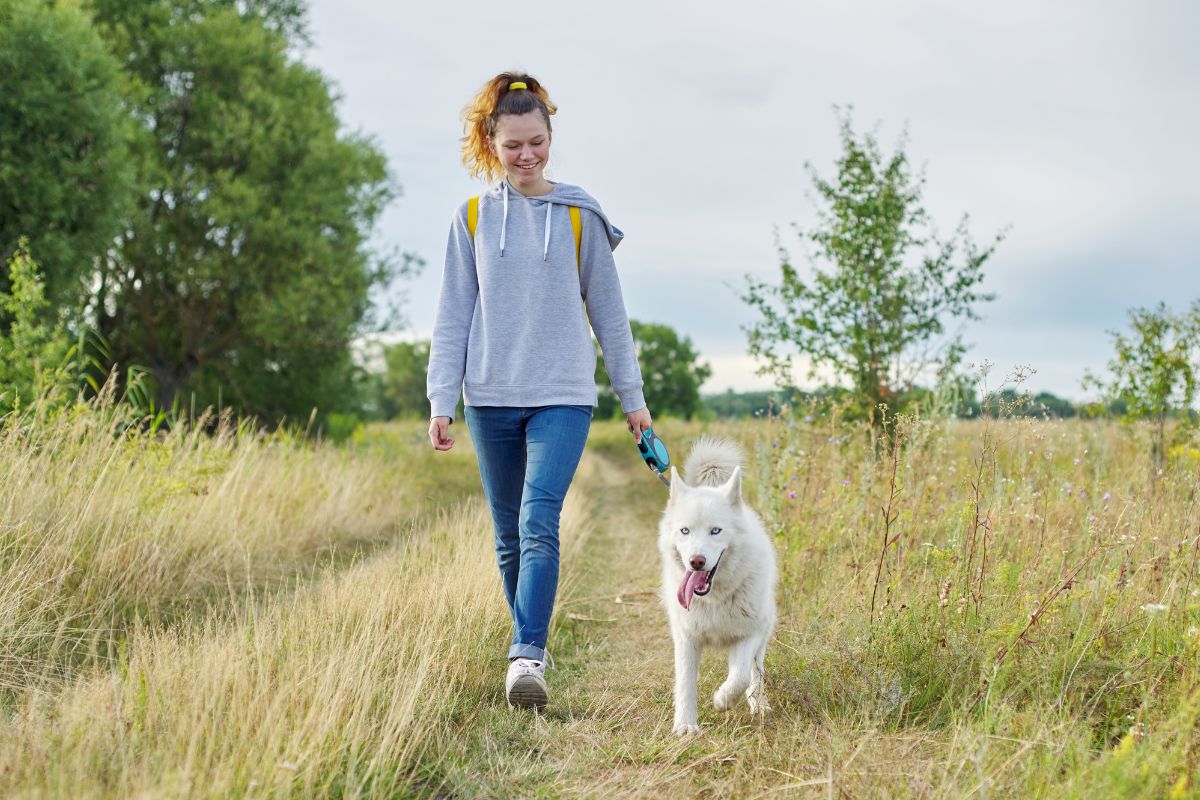 A picture of someone walking their dog.