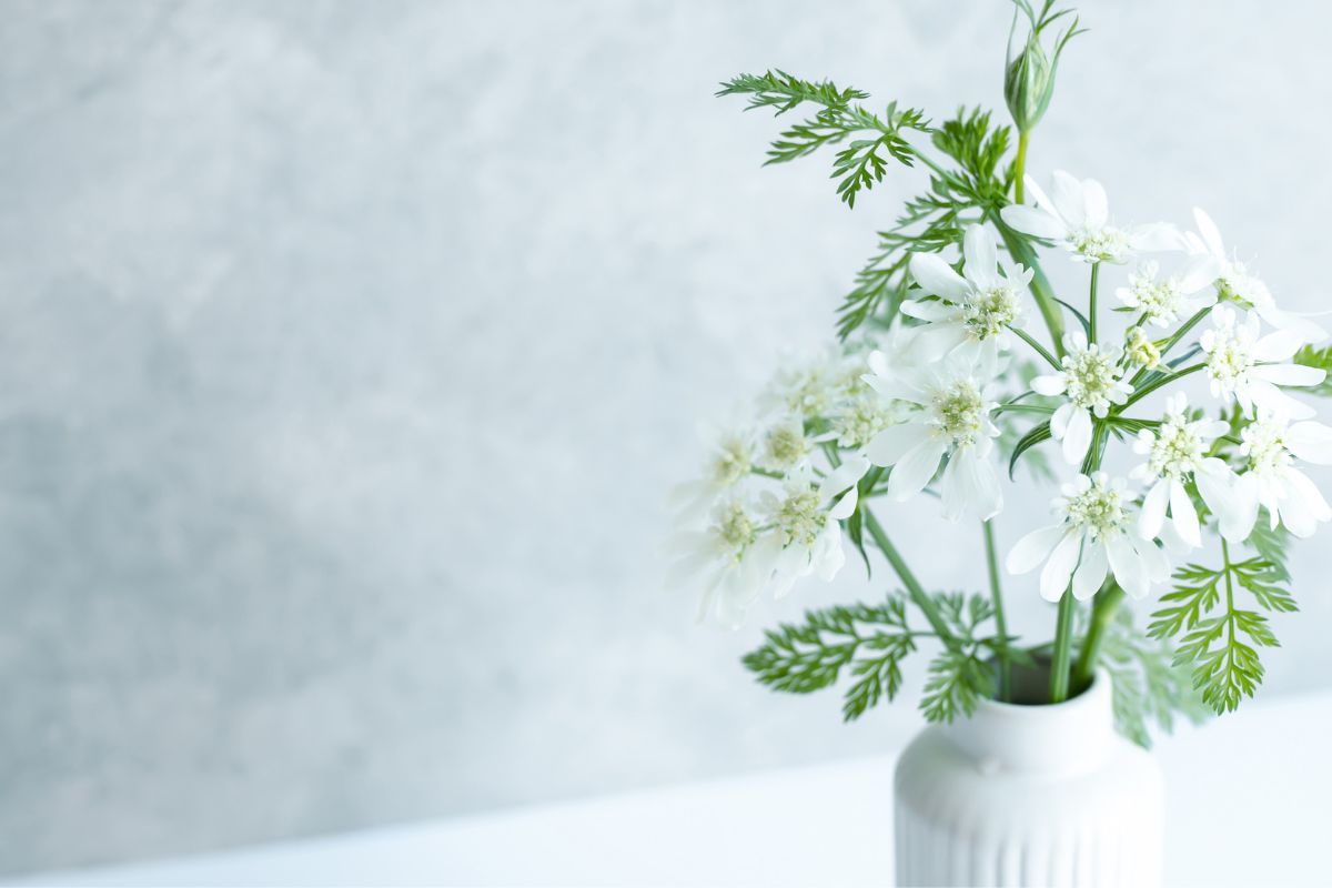 A picture of a vase of flowers.