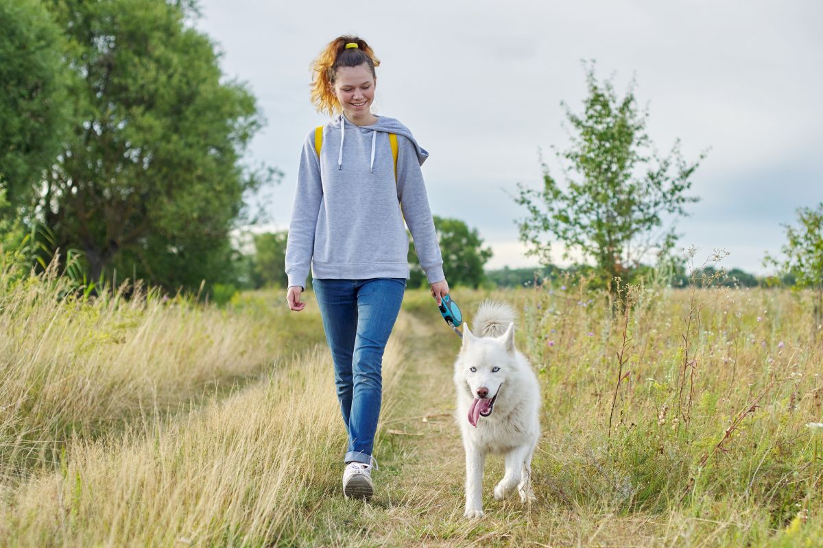 A picture of someone dog walking. 