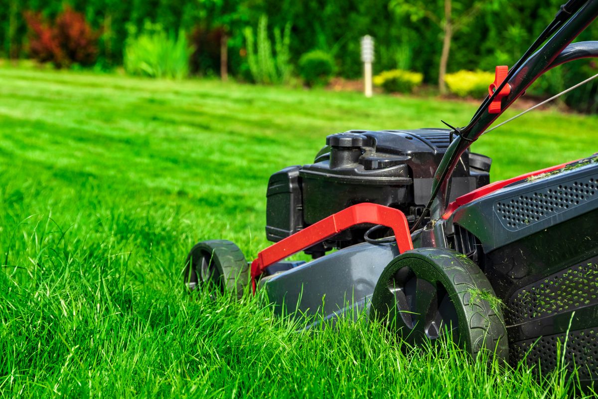 A picture of a lawnmower.