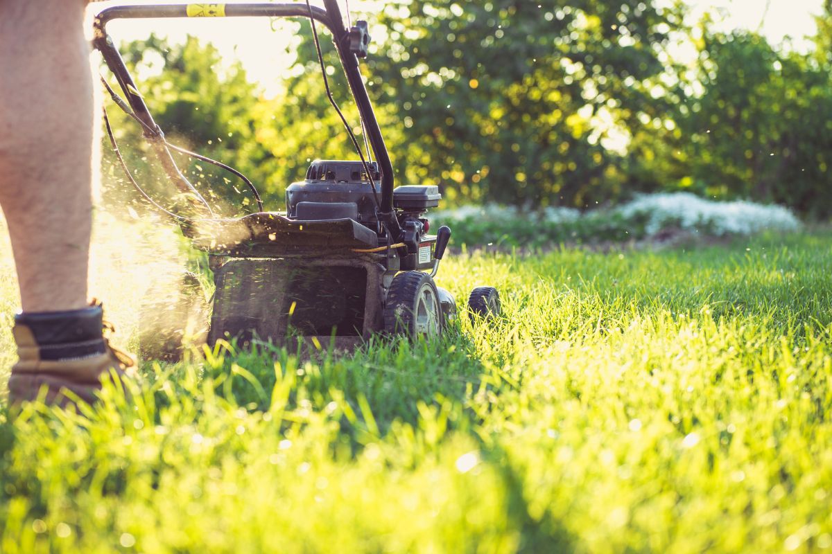 A picture of someone mowing a lawn. 