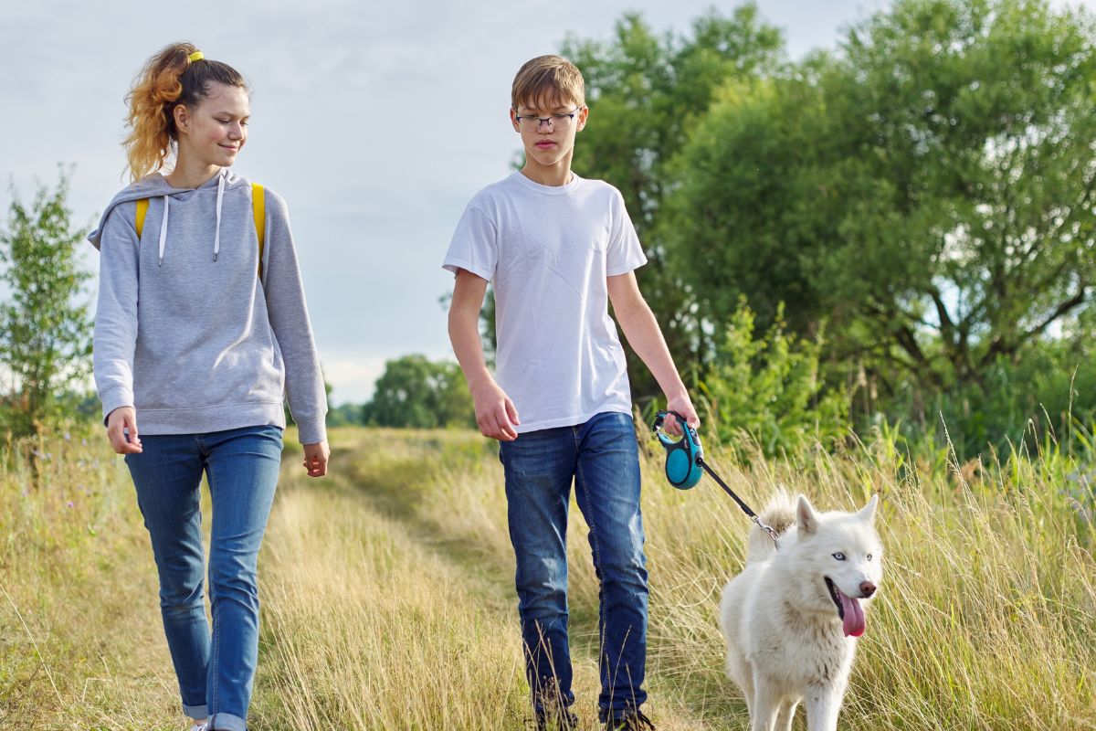 A picture of siblings dog walking together. 