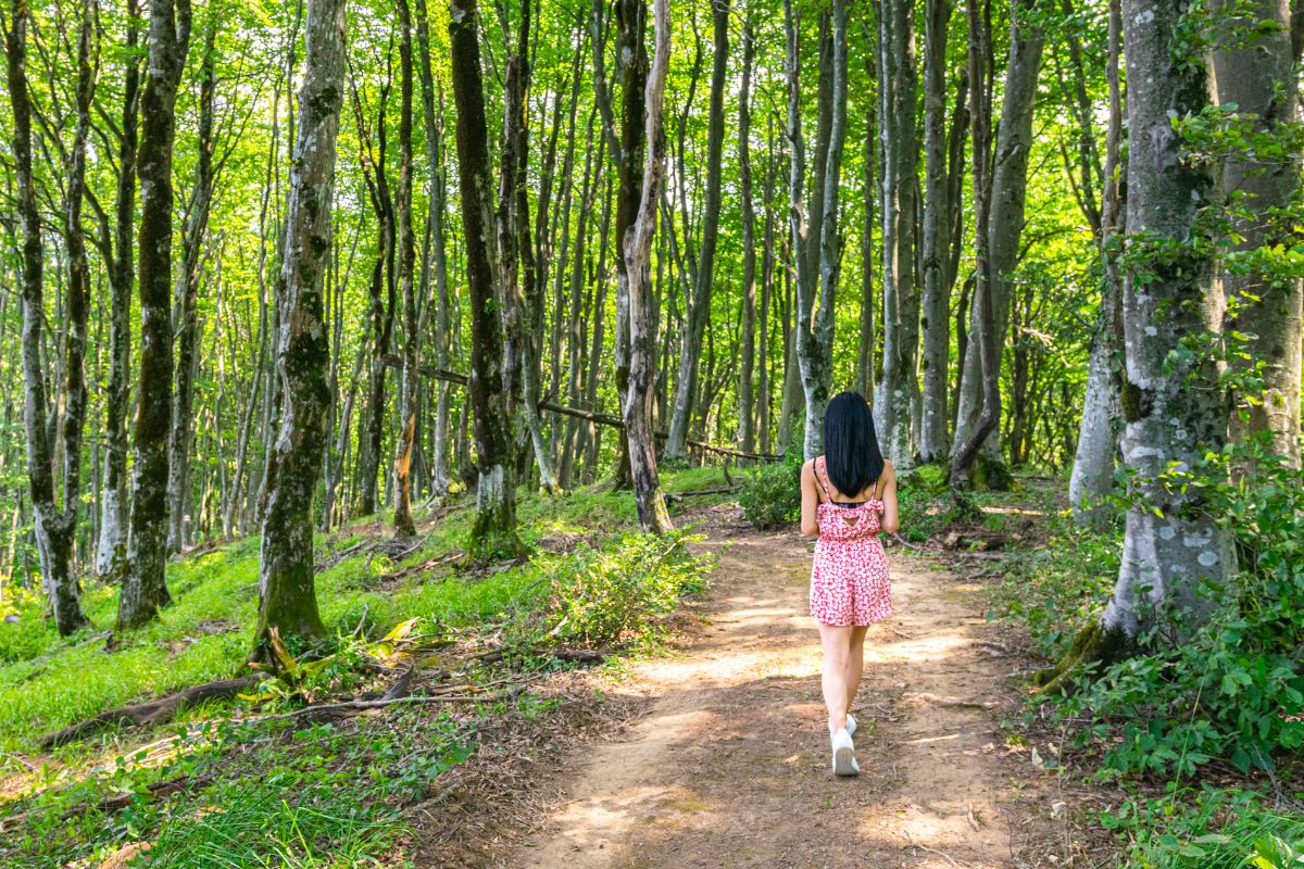 A picture of someone walking on a park. 