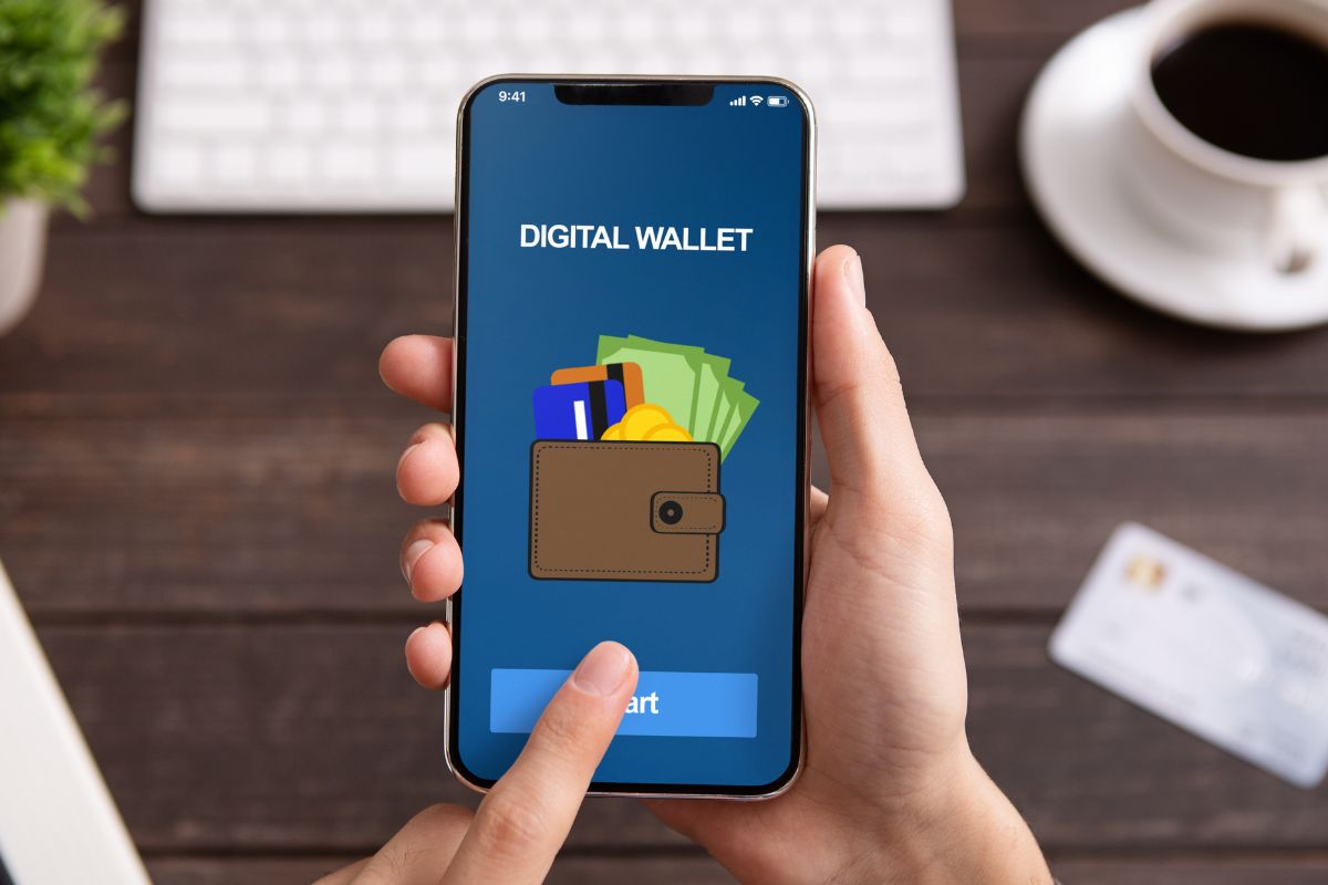 A picture of a software wallet.