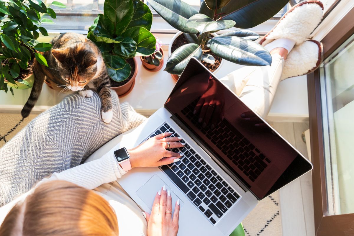 A picture of someone using their laptop.