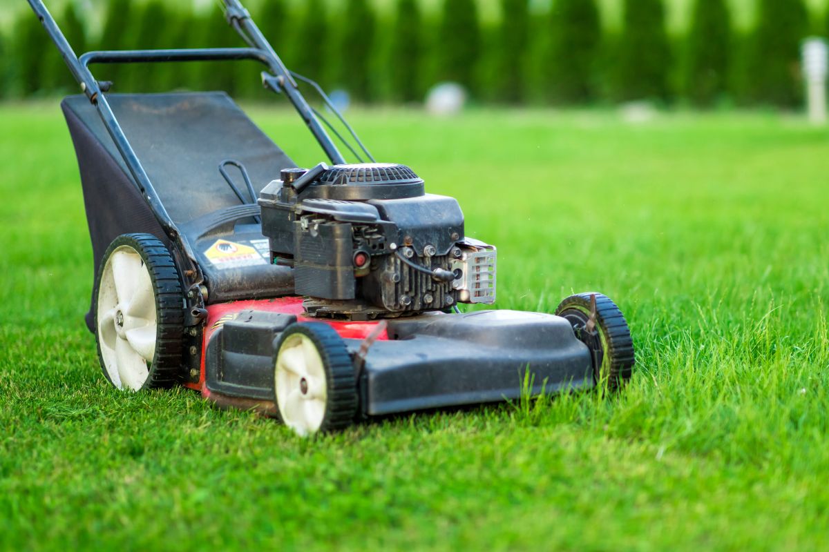 A picture of a lawnmower.