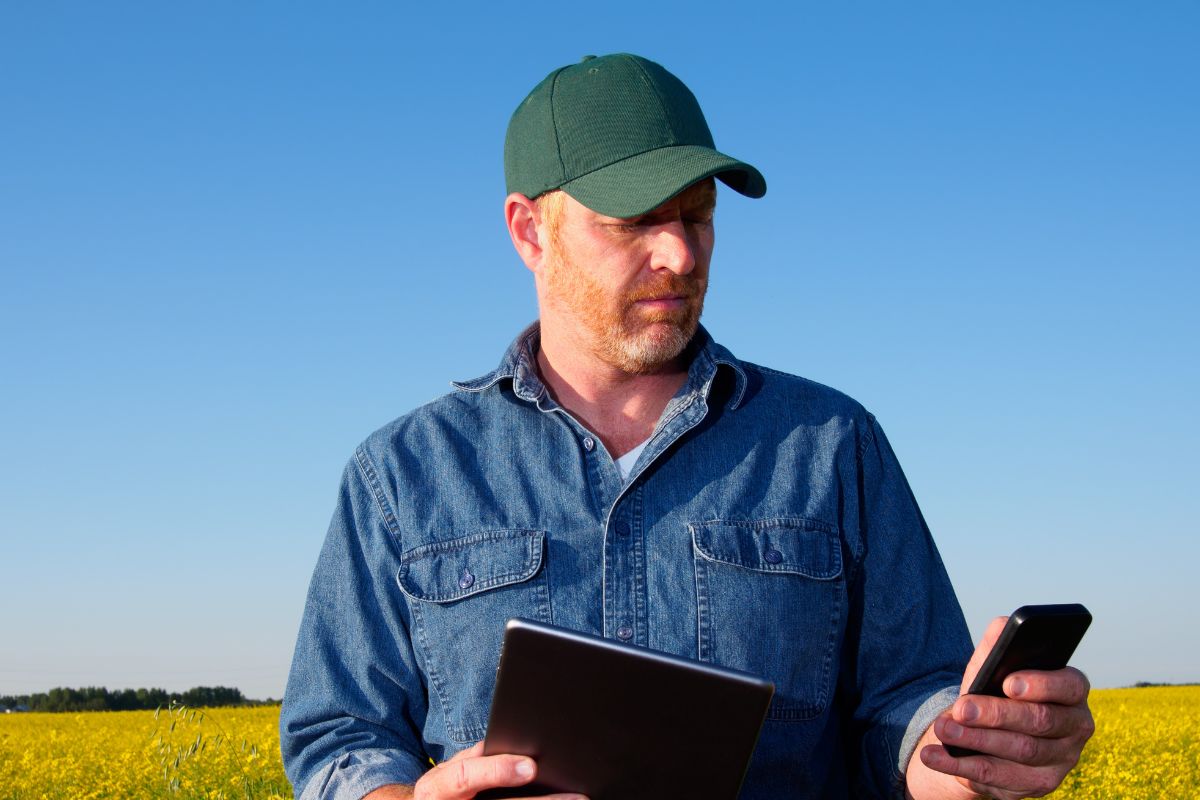 A picture of someone looking at their phone.