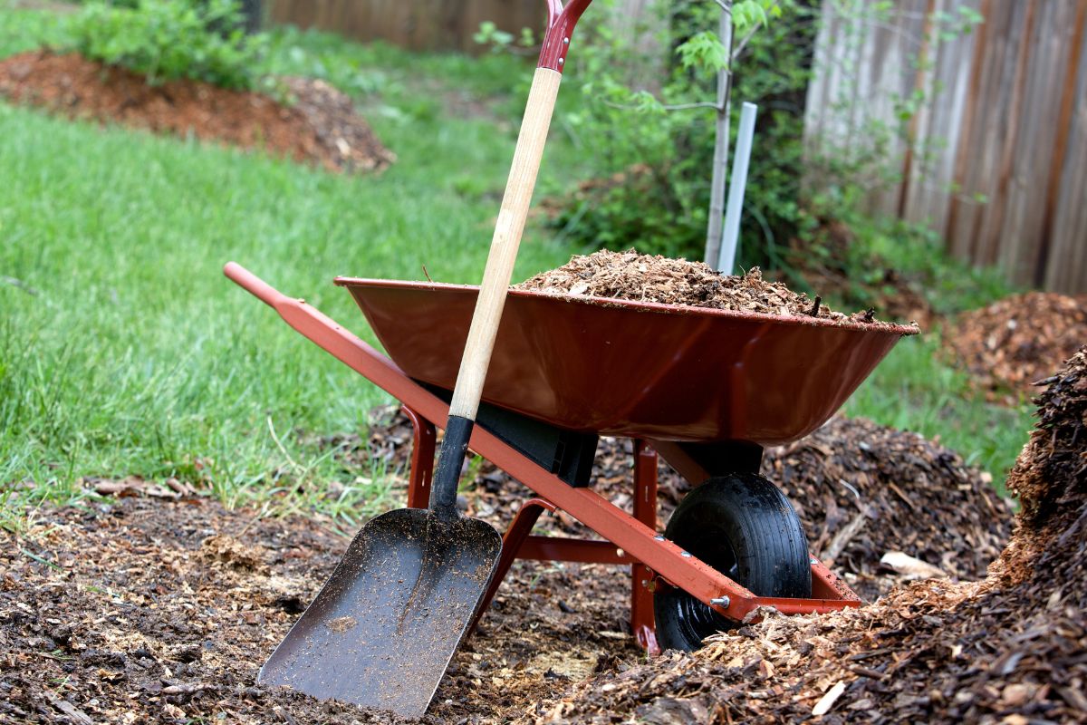 A picture of someone doing yard work.