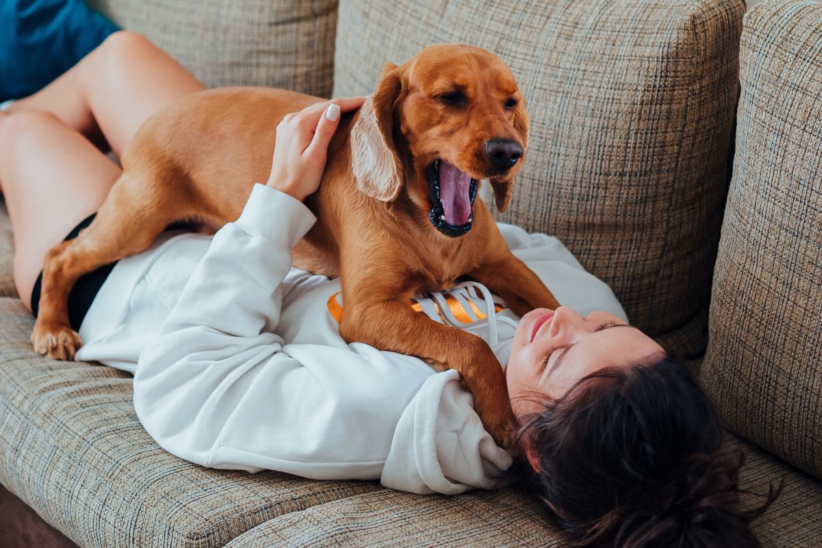 A picture of someone relaxing with their dog.