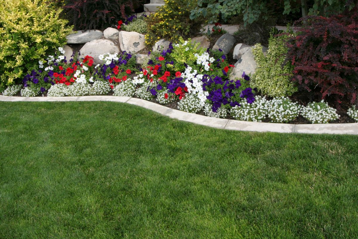 A picture of a well-kept yard.