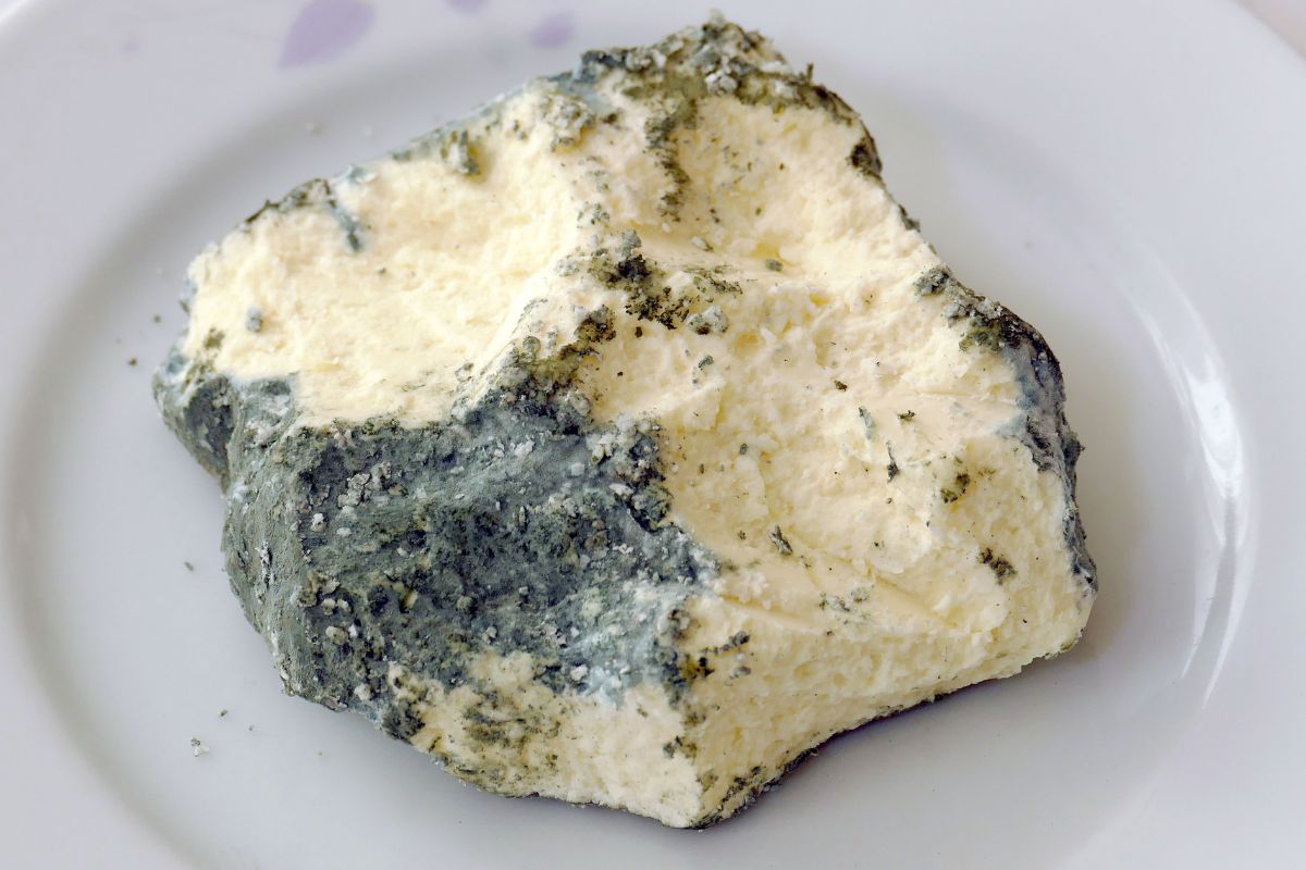 A picture of a moldy cheese.