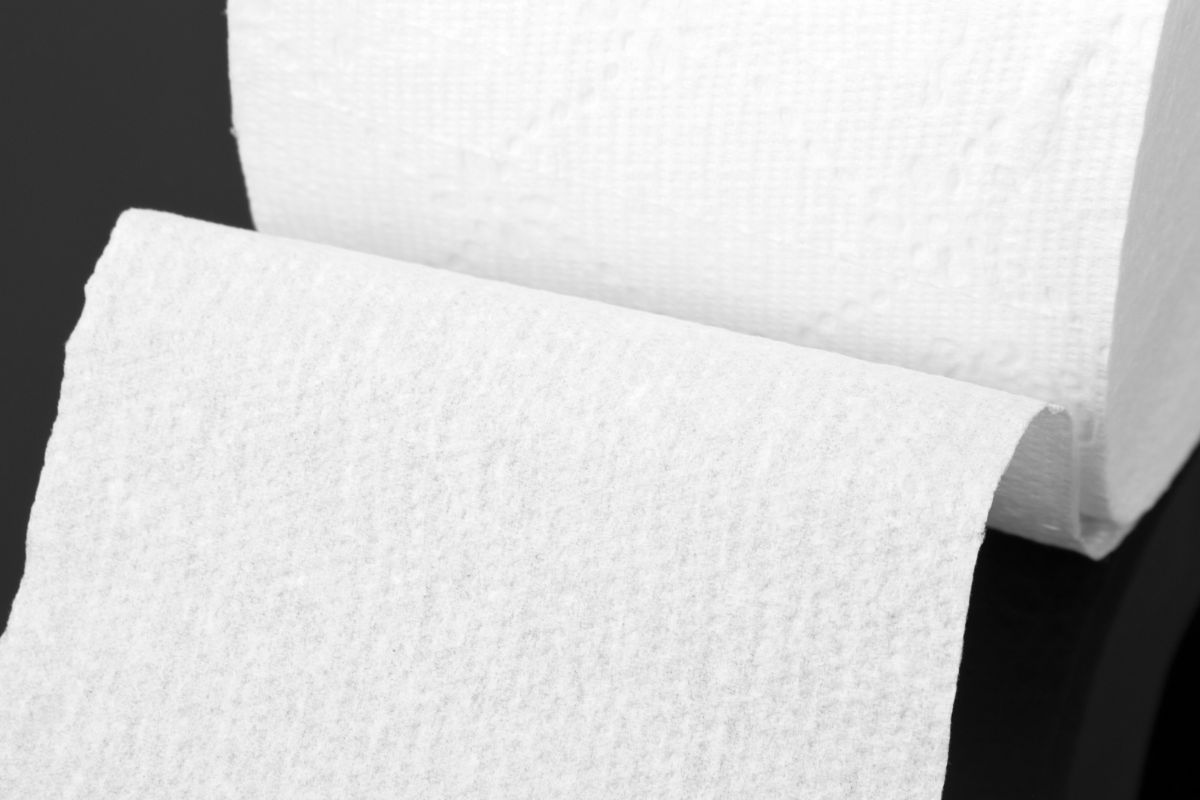 A picture of a toilet paper.