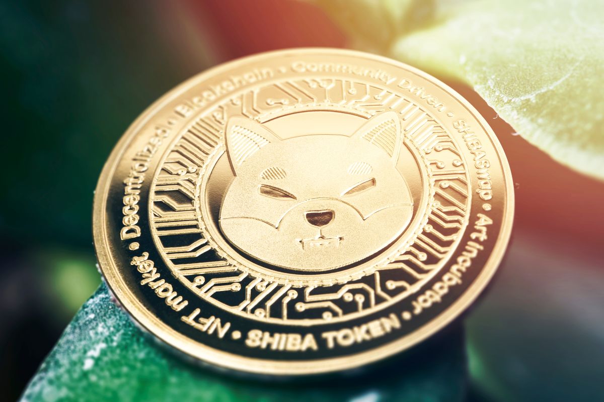 A picture of $SHIB token.