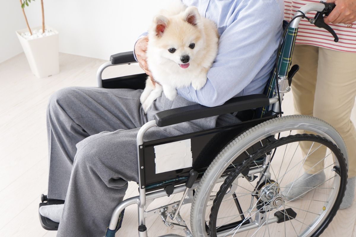 A picture of an elderly person on a wheelchair.