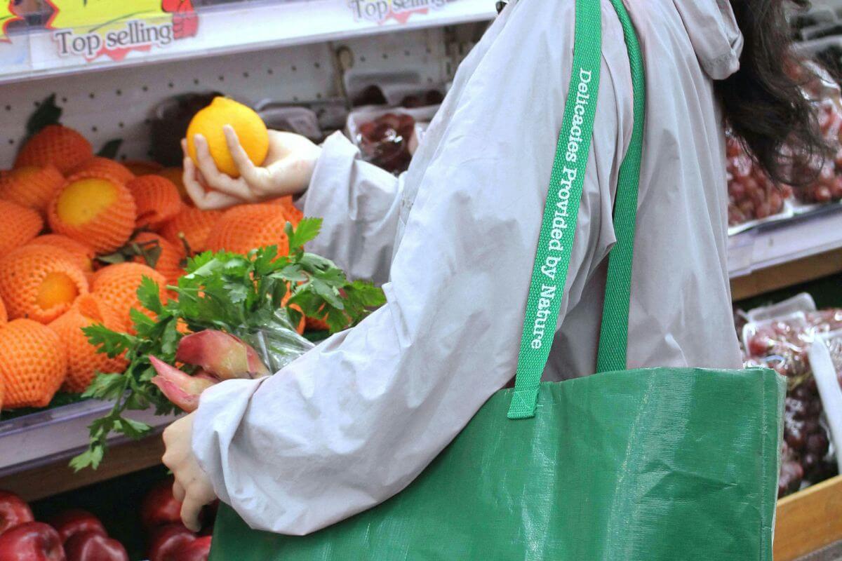 A picture of a DIY shopping bag.