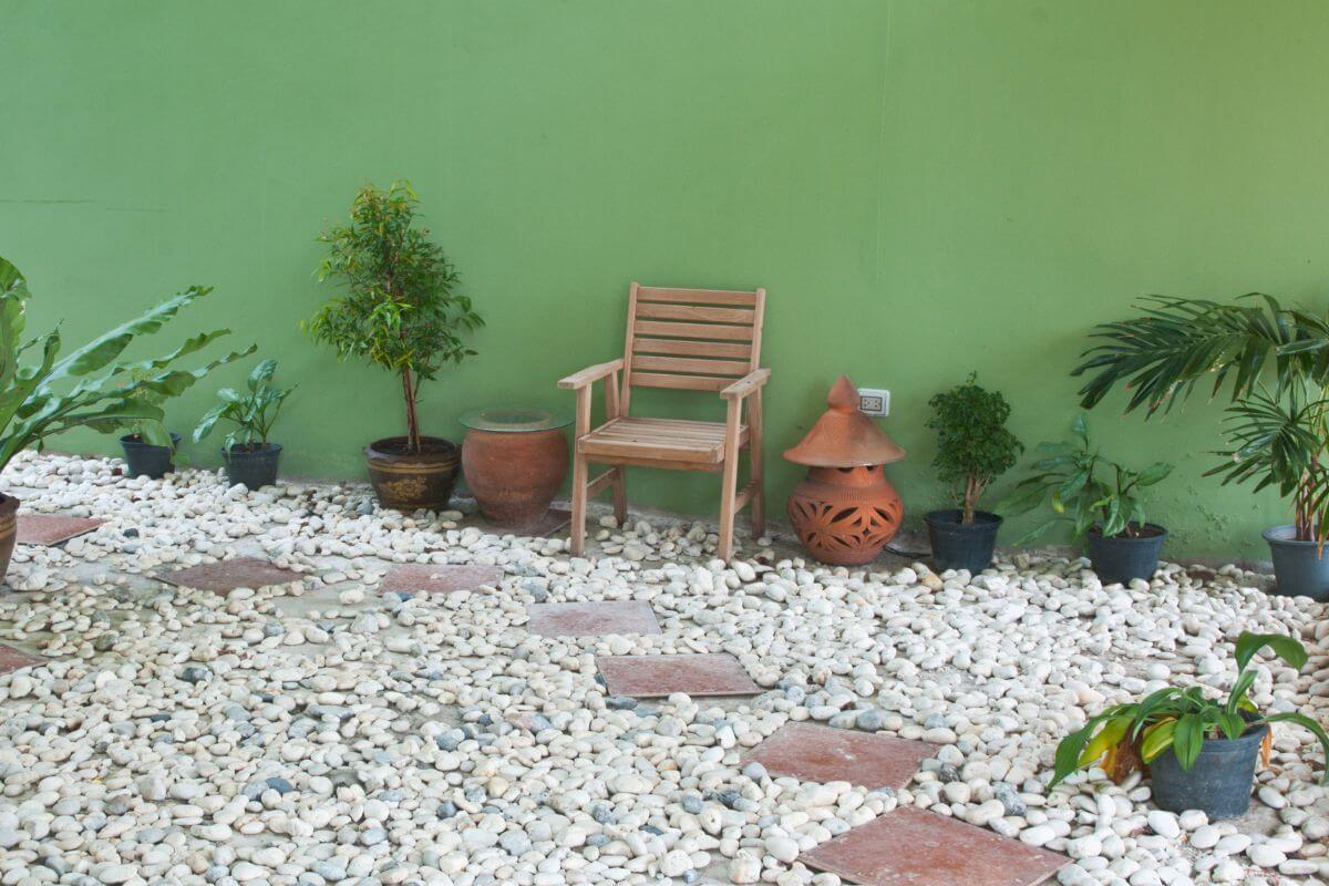 A picture of a mini garden.