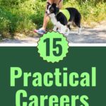 Looking for quiet ways to earn? This guide covers proven work from home jobs plus a flexible wfh job you can start quickly. It points to real work from home careers with trusted work from home companies and simple typing jobs that pay on time. You’ll also see creative work from home ideas and a solid legit work from home path perfect for steady income. It’s built for smart choices and shows why these are the best jobs for introverts who want control, plus tips on best small business ideas and honest online work from home paths. It even shares solid work from home opportunities, part time jobs from home, beginner data entry jobs, and every legitimate work from home option along with online jobs from home inside one helpful list of jobs career ideas.