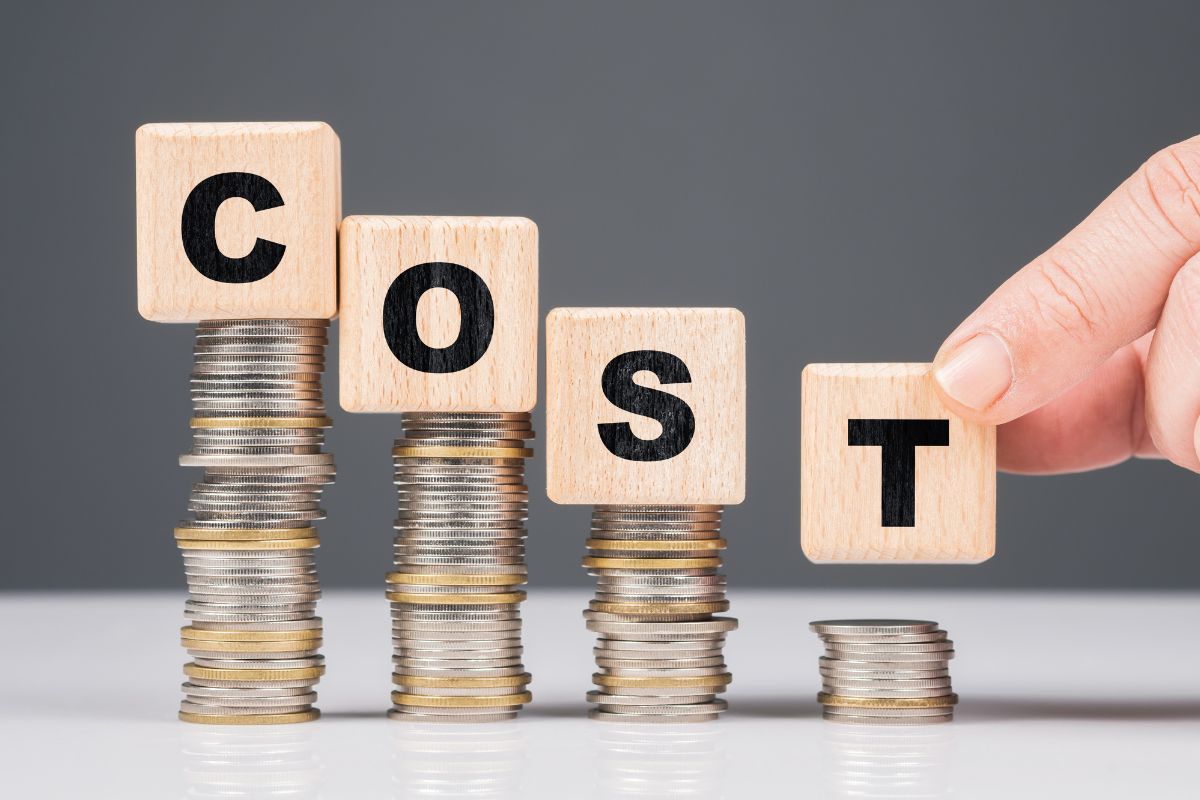 An image of stacks of coins and a cost wording.