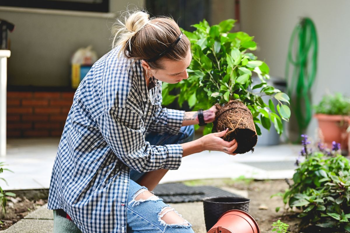 A picture of a woman gardening.