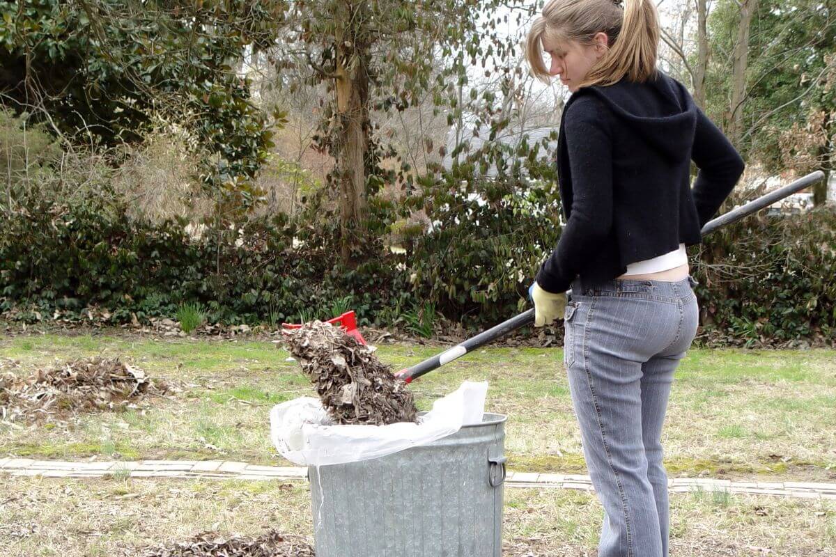 A picture of a woman cleaning the yard.