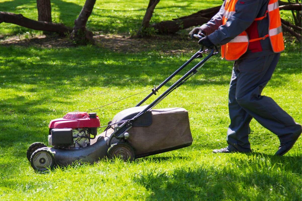 An image of a man cleaning the yard.