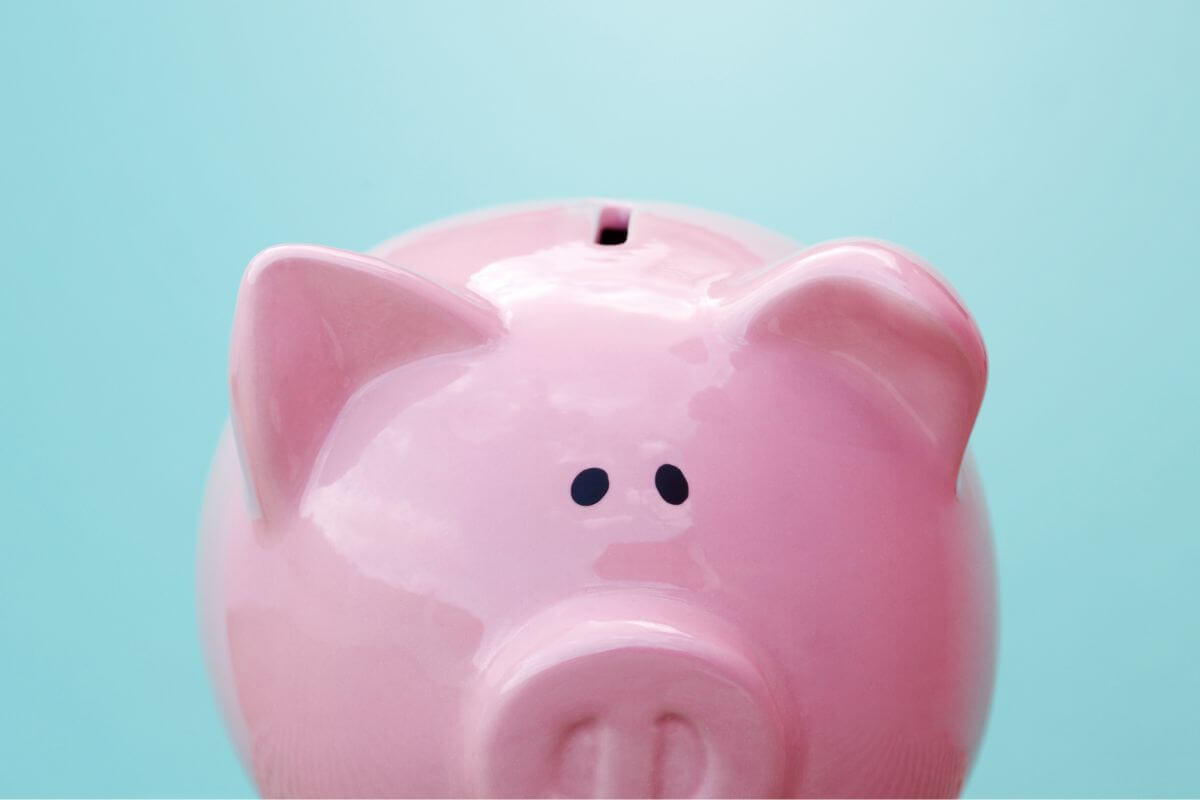 An image of a piggy bank.