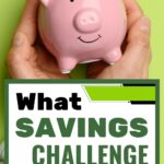 Discover how a savings challenge can help you build real progress with your money by using clear and simple steps. Try the daily dollar challenge if you want to save a little each day or use the 52 week saving challenge to grow your balance slowly. If you like structure, a no spend month can cut costs fast, especially with a no spend month printable or a no spend month template to guide you. Follow the no spend month rules and use these money saving tips to stay motivated. The biweekly savings plan low income option also works great for tight budgets, plus you can grab the no spend challenge rules and a no spend challenge printable to keep on track. Add in fun like no money date ideas or even a no buy challenge to make saving stick.