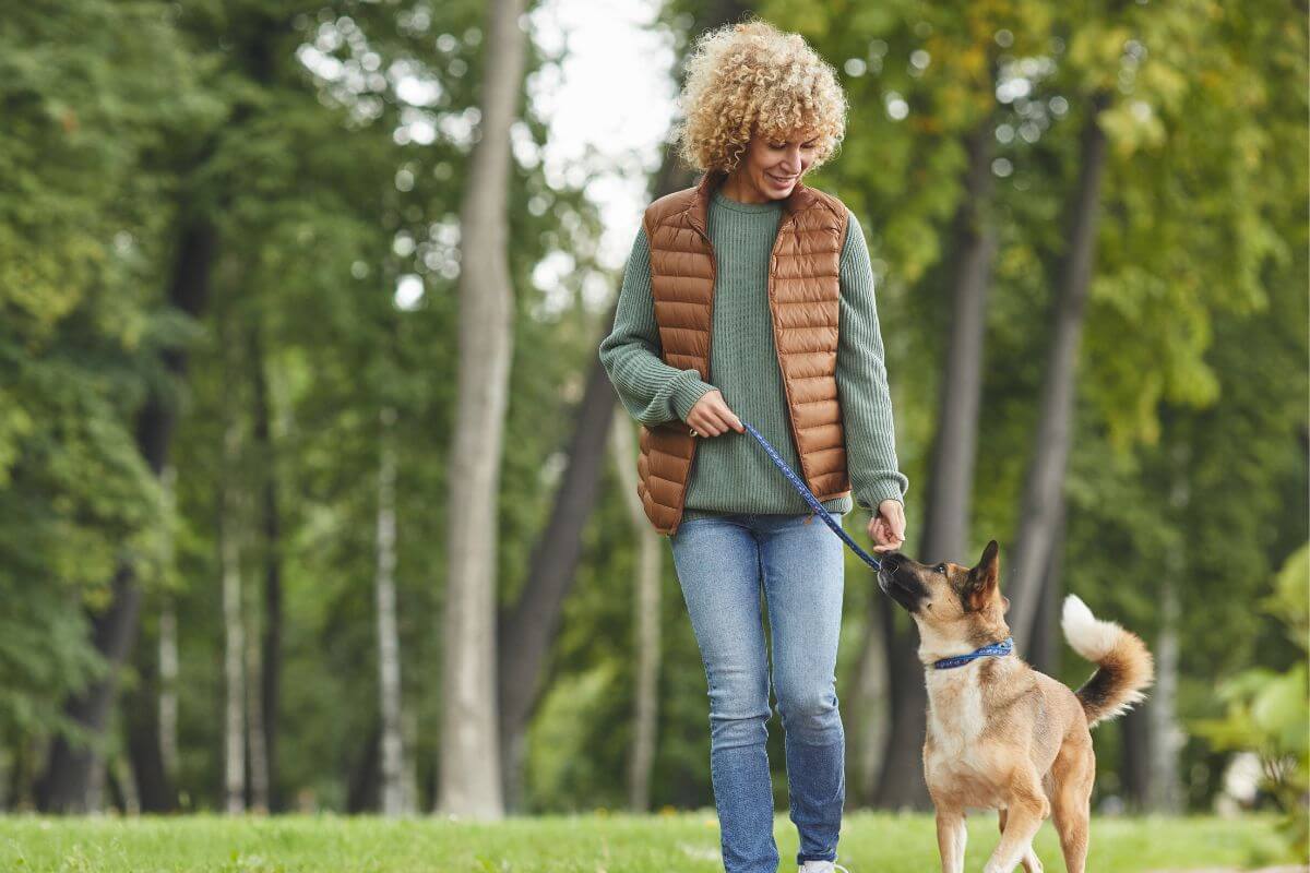 A picture of someone walking their dog.