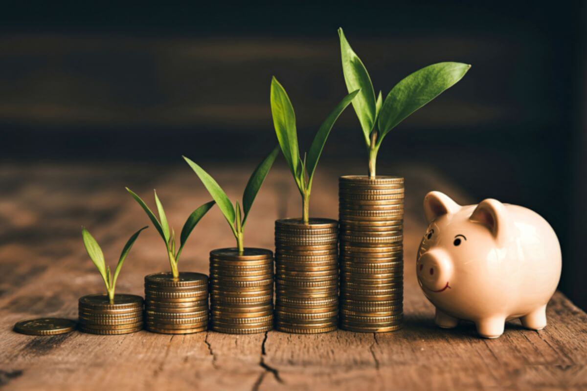 Picture of growing pennies and little plants.