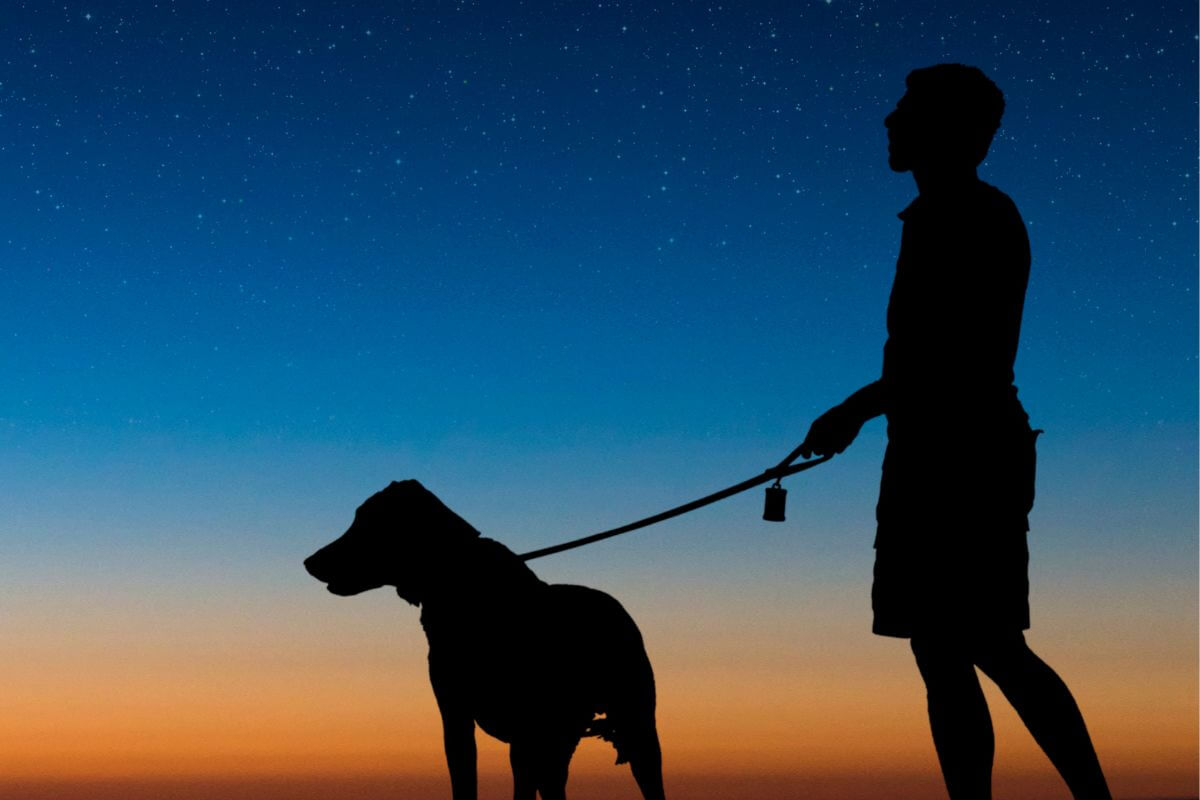 A picture of someone walking with their dog. 