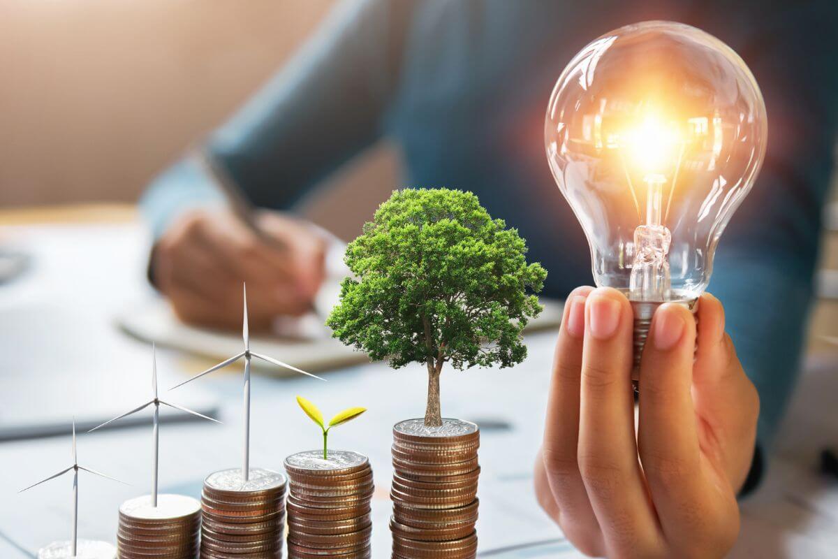 A picture of a growing investment.