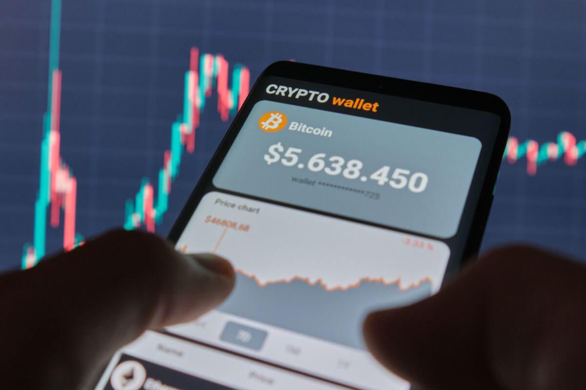 A picture of someone's bitcoin wallet.