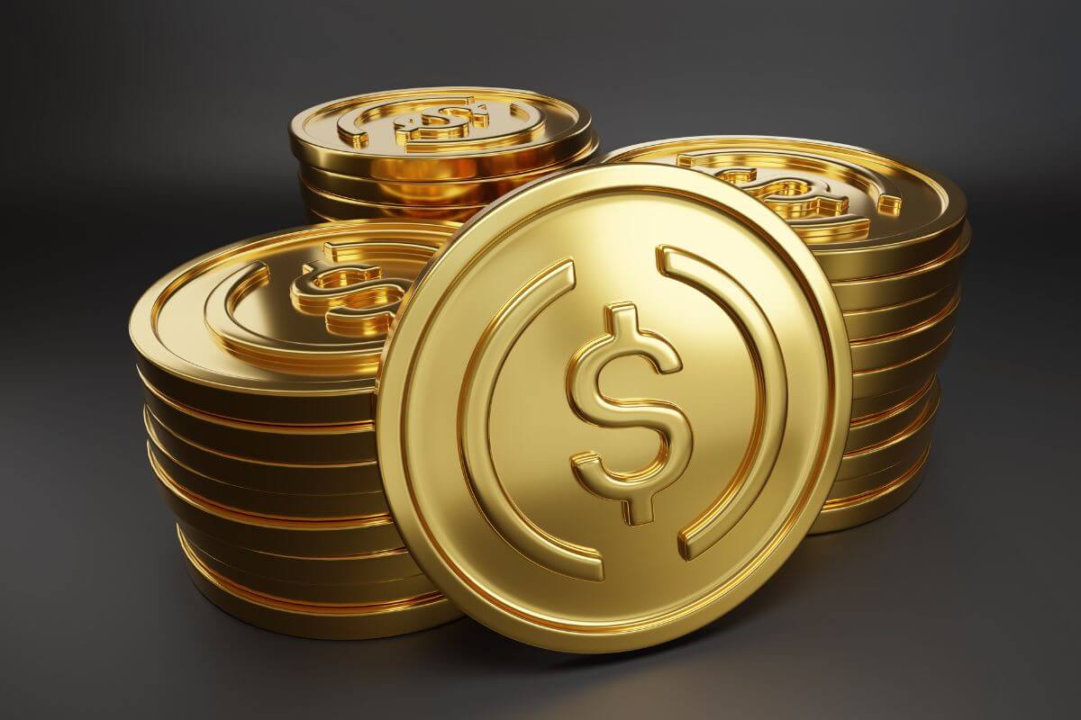 A picture of a stablecoin token.