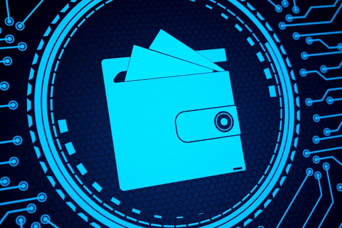 A picture of a crypto wallet.