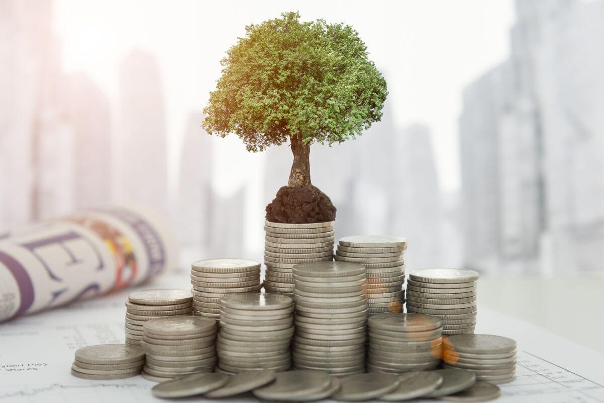 A picture of money investment.